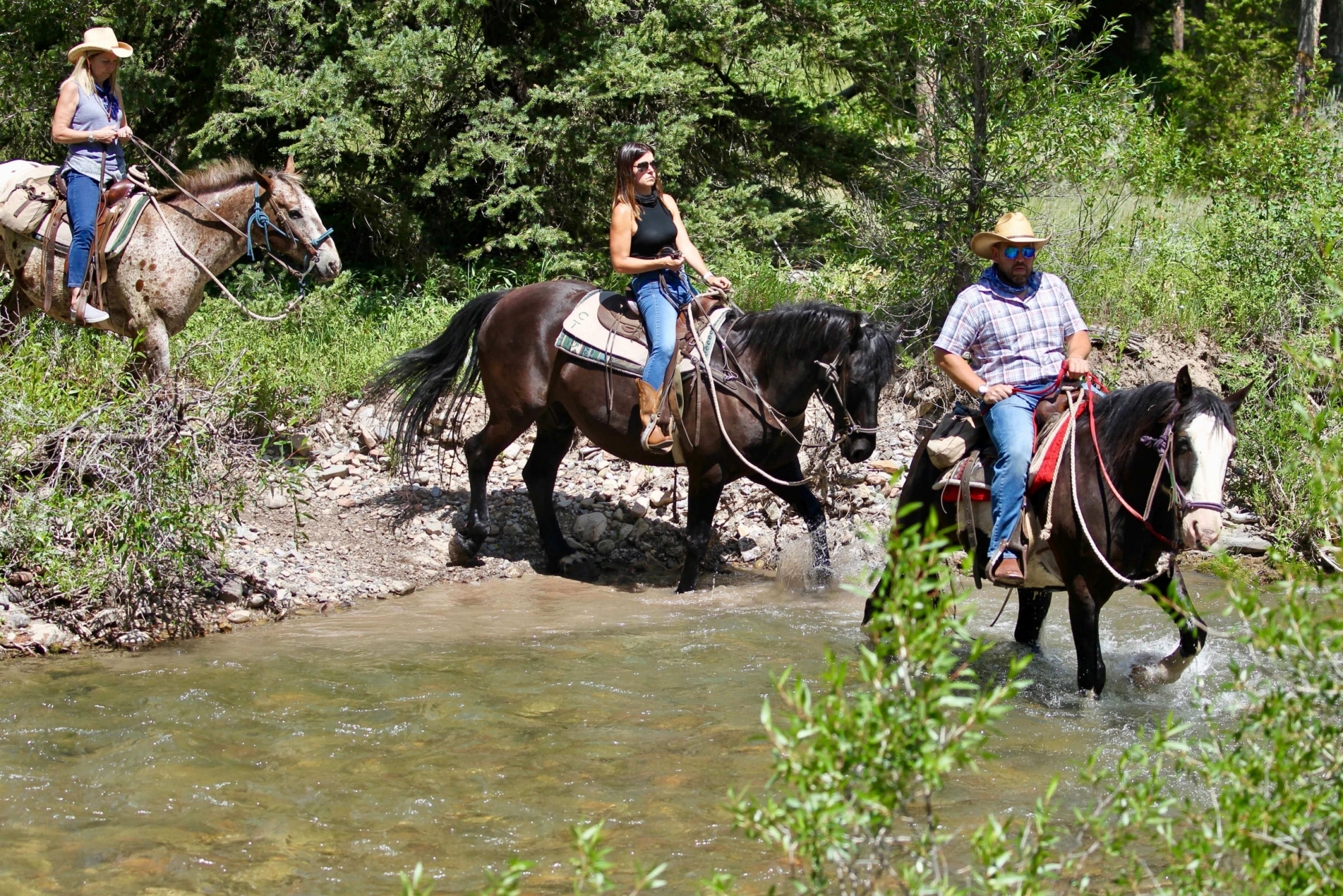 Jackson Hole Horseback Riding Options and Pricing